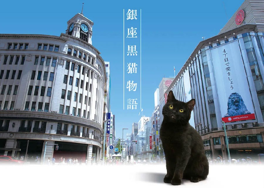 [银座黑猫物语][日语中字][MP4][1080P][DYTT]